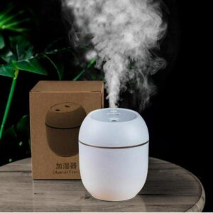 Foldable Air Humidifier