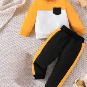 2 Pcs Girl's Fleece Printed Tracksuit